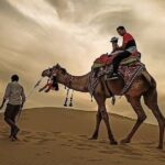 Dubai Desert Safari with BBQBuffet, Dune Bashing, Boarding, Camel - Considerations Before Booking