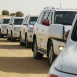 Dubai Desert Safari with Belly Dance, Fire Show and Tanura Show-The Full Package - Additional Details: Practical Tips and Insights