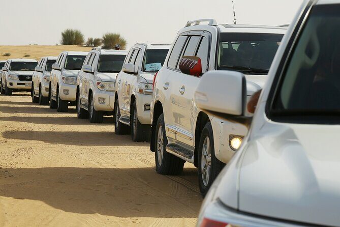 Dubai Desert Safari with Belly Dance, Fire Show and Tanura Show-The Full Package - Additional Details: Practical Tips and Insights