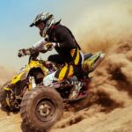 Dubai Desert Safari: with Camel Ride, live entertainment and bbq - Breaking Down the Itinerary