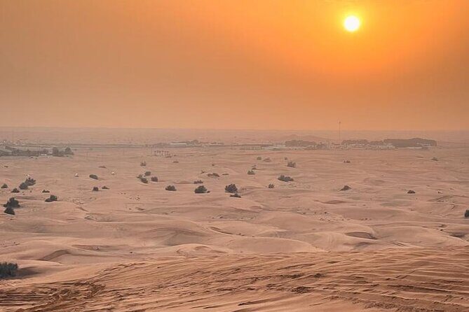 Dubai Desert Safari with Desert Camp Dinner, Camel Ride & Shows - Who Will Love This Tour?