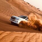 Dubai Desert Safari with Dinner, Camel Ride & Dune Bashing - What We Appreciate About This Tour