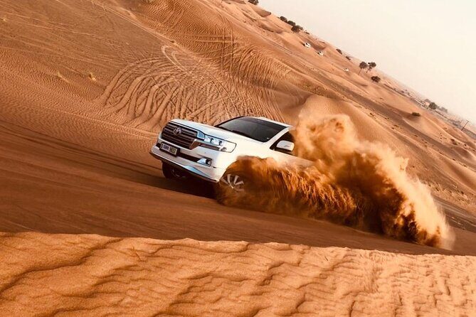 Dubai Desert Safari with Dinner, Camel Ride & Dune Bashing - What We Appreciate About This Tour