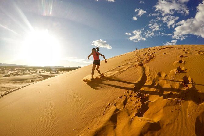 Dubai Desert Safari with Dune Bashing, Camel Rides & BBQ - Practical Details and Traveler Tips