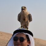 Dubai Desert Safari with Live entertainment - Pricing & Value