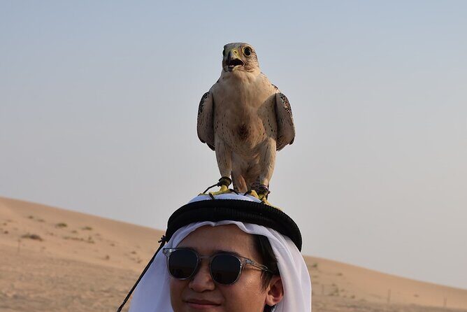 Dubai Desert Safari with Live entertainment - Pricing & Value