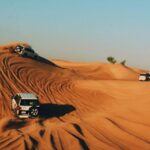 Dubai Desert Safari with Live Show, BBQ Dinner, Camel Ride & Sand Board Options - Detailed Itinerary Breakdown