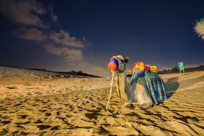Dubai Desert Safari with Quad Bike, sandboarding, live show & BBQ - The Value of This Tour