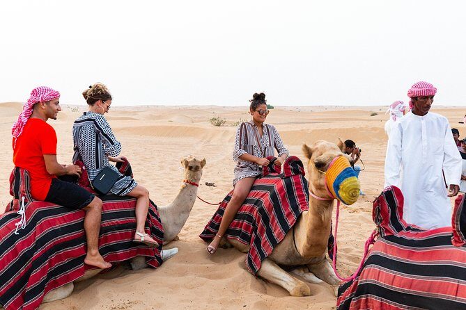 Dubai Desert Safari with Quads, BBQ Dinner, Camel ride, & Shows - Returning to Dubai
