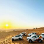 Dubai Desert Safari:BBQ Dinner, Dune Bashing & Live Entertainment - Value and Practical Considerations