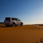 Dubai Desert Trail: Guided Quad/Polaris ATV & Red Dunes Safari - Why Travelers Love This Tour