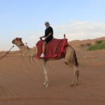 Dubai: Dune Buggy Safari and Camel Ride with Transportation - Transportation and Practical Details