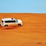 Dubai Evening 4x4 Desert Safari, Shows, Camel Ride BBQ Dinner - Who Should Book This Tour?