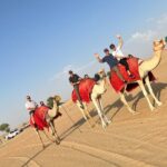 Dubai: Evening Desert Safari, Camel Ride, Shows & BBQ Dinner - Why This Tour Offers Great Value