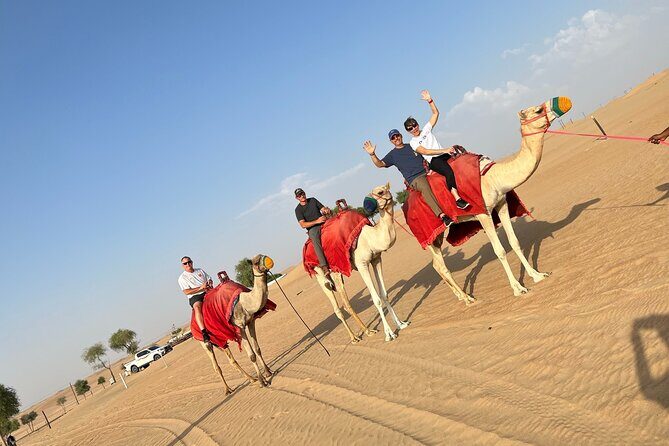 Dubai: Evening Desert Safari, Camel Ride, Shows & BBQ Dinner - Why This Tour Offers Great Value