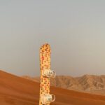 Dubai Evening Desert Safari - Private car - Who Will Love This Tour?