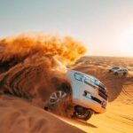 Dubai Evening Desert Safari - Sharing - Who Should Book This Experience?