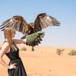Dubai Evening Desert Safari with ATV Quad Bike & Dinner - What to Expect from the Dubai Evening Desert Safari