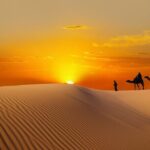 Dubai Evening Desert Safari with BBQ Dinner - Detailed Breakdown of the Itinerary