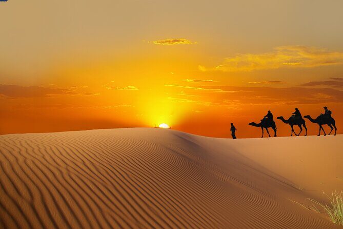 Dubai Evening Desert Safari with BBQ Dinner - Detailed Breakdown of the Itinerary