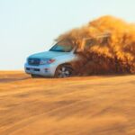 Dubai Evening Desert Safari With Transfers Dune Bashing & Dinner - What Travelers Should Know