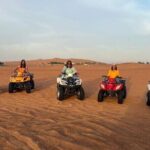 Dubai Evening Safari With Quad Biking VIP BBQ 10 Show Camel Ride - Practical Details & Value for Money