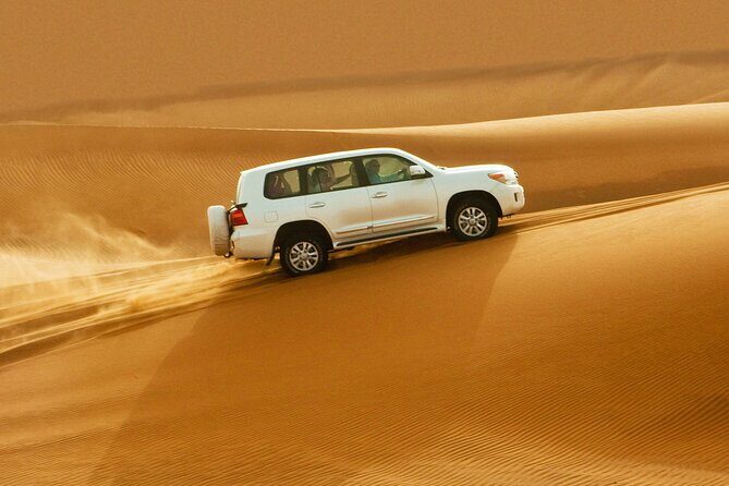 Dubai Evening4x4Desert Safari BBQ Dinner,4 Live Shows,Camel Ride - Who Is This Tour Best For?