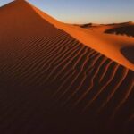 Dubai Evening4x4Desert Safari,BBQ Dinner,4 LiveShows,Camelride - FAQ