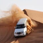 Dubai: Extreme Desert Safari with Dinner - Final Thoughts: Who Will Enjoy This?