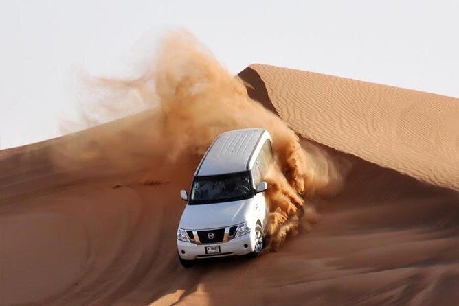 Dubai: Extreme Desert Safari with Dinner - Final Thoughts: Who Will Enjoy This?