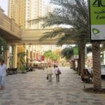 Dubai Full Day City Tour - Authentic Insights from Reviews