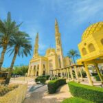 Dubai Full Day City Tour with Abra Boat and Monorail Ride - Who Will Enjoy This Tour?