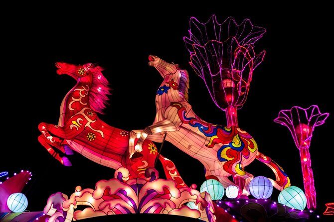Dubai Garden Glow Tickets with Transport Options - Who Will Love Dubai Garden Glow?