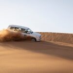 Dubai Half-day Red Dunes bashing with Sandboarding, Camel &Falcon - Considerations Before Booking