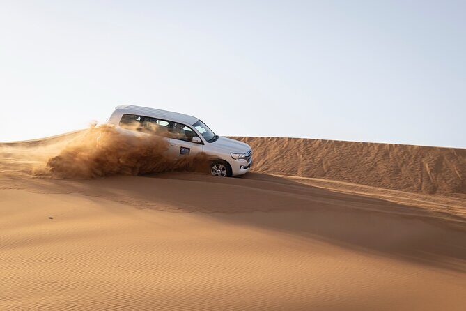 Dubai Half-day Red Dunes bashing with Sandboarding, Camel &Falcon - Considerations Before Booking