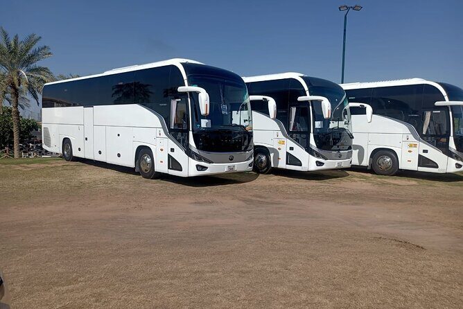 Dubai: Hire Private Vehicle with Driver for Full Day - Who Would Love This Experience?