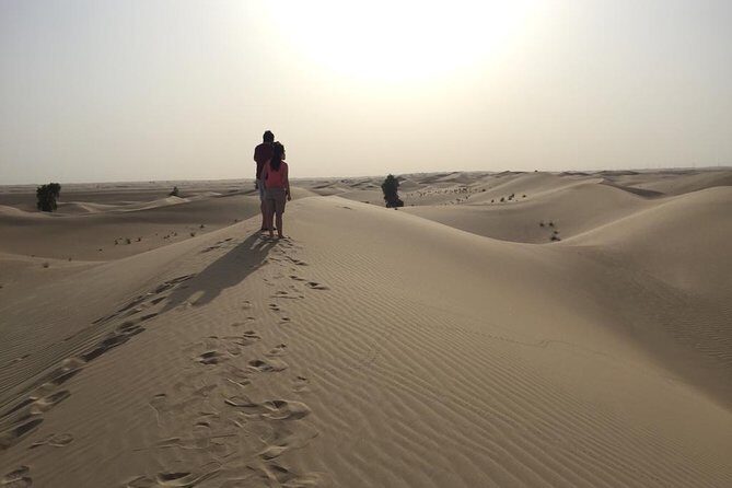 Dubai Kids Friendly Morning Safari - Private Car - The Itinerary: What You Can Expect
