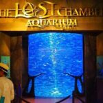 Dubai Lost Chambers Aquarium Admission E-Ticket - An In-Depth Look at What to Expect