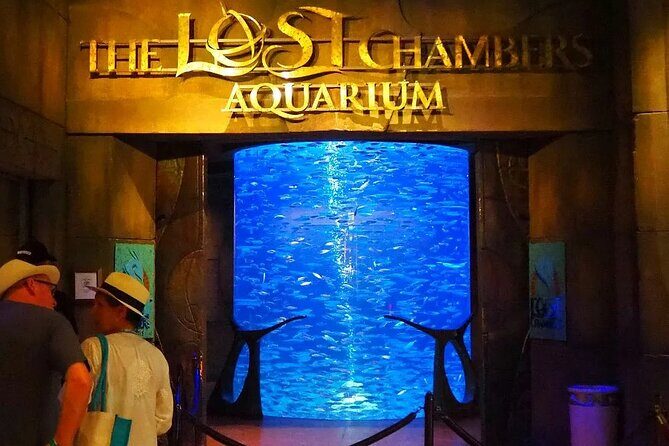 Dubai Lost Chambers Aquarium Admission E-Ticket - An In-Depth Look at What to Expect