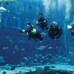 Dubai Lost Chambers Dive Discovery - The Reviews Tell the Real Story