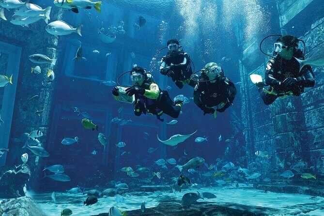 Dubai Lost Chambers Dive Discovery - The Reviews Tell the Real Story
