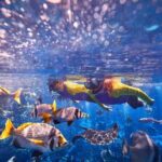 Dubai Lost Chambers Ultimate Snorkel Experience - In-Depth Breakdown of the Experience