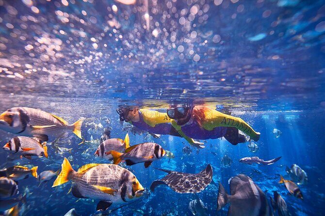 Dubai Lost Chambers Ultimate Snorkel Experience - In-Depth Breakdown of the Experience