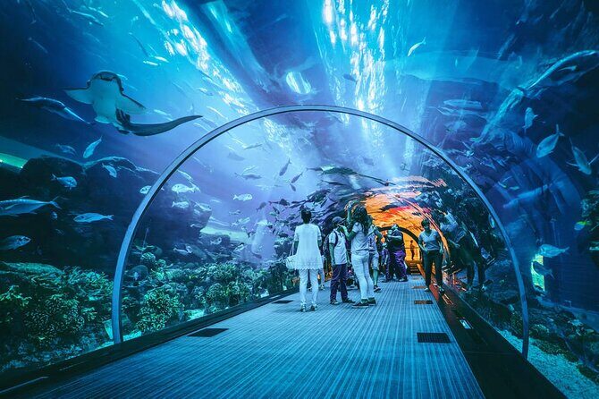 Dubai Mall Aquarium and Underwater Zoo Ticket - The Itinerary in Detail