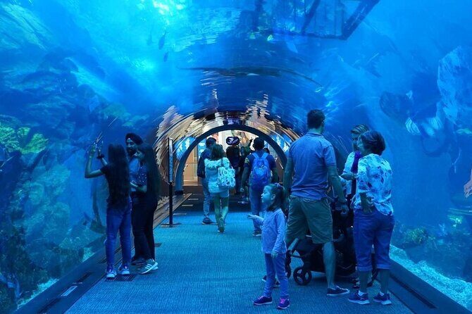 Dubai Mall Aquarium with Penguin Cove + Skyview Ticket - Final Thoughts: Is It Worth It?