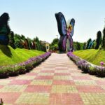 Dubai Miracle & Butterfly Garden Tour with private round trip transfers - Who Will Love This Tour?