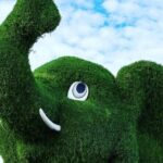 Dubai: Miracle Garden: A Blossoming Wonderland Admission Ticket - Practical Tips for Visiting