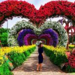 Dubai Miracle Garden and Global Village Shopping Tour - Why This Tour Offers Great Value