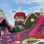 Dubai Miracle Garden Entry Pass with Hotel Pickup and Drop-Off - Cost and Value Analysis