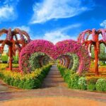 Dubai Miracle Garden Entry Tickets - Why the Dubai Miracle Garden Is Worth It
